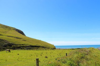 Dalgalar Kuzey Devon sahiline çarpıyor.