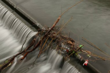 Şanlı gökyüzünün altında Lea nehrinde suyla doğdu.