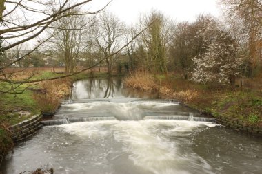 Şanlı gökyüzünün altında Lea nehrinde suyla doğdu.
