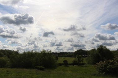 İlkbahar yürüyüşü, Londra sınırındaki Hertford 'un eteklerinde Lea nehri boyunca akan bitki örtüsünü ve faunayı görmek için.