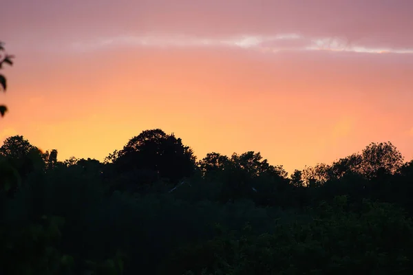 Sunset Hertfordshire Skies South England — Stock Fotó