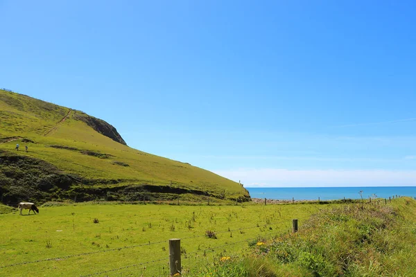 Golven Crashen Tegen Kust Van Noord Devon — Stockfoto