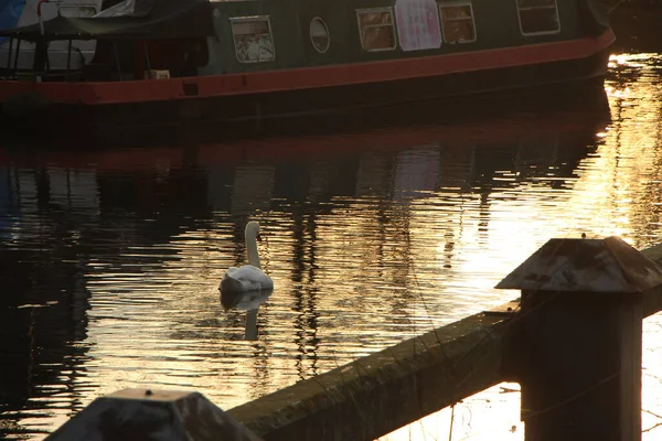 Waterborne River Lea Glorious Full Sky — Foto de Stock