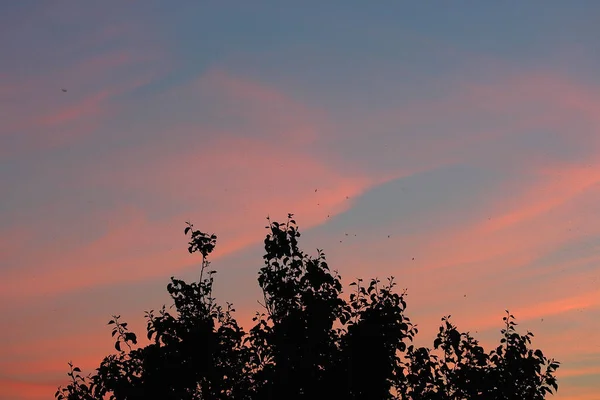 Sunset Hertfordshire Skies South England — Zdjęcie stockowe