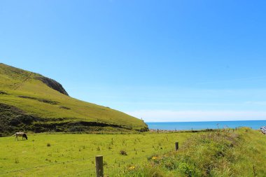 Dalgalar Kuzey Devon sahiline çarpıyor.