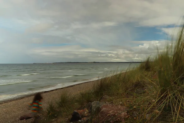 North Scotland Beaches Cold Autumn Day — стокове фото