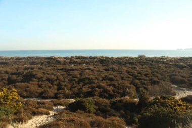 Bournemouth ve Wight Adası manzaralı Studland Körfezi 'ni kışın ortasında sahilden keşfetmek.