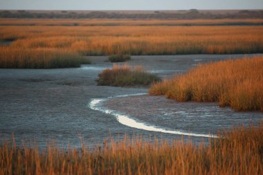 Sonbahar boyunca İngiltere 'nin Norfolk kentinde Blakeney dışında gelgit bataklıklarının üzerinde gün batımı 