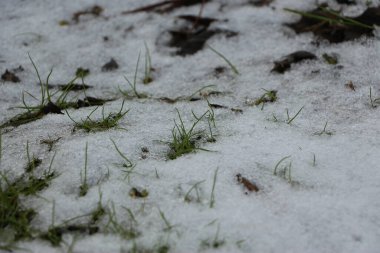 İngiltere 'de dondurucu ve çamurlu kış manzaraları 