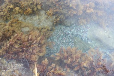 Kayaların üzerinden tırmanmak ve Cythe 'deki Afrodit sahilinin kristal sularında yüzmek.