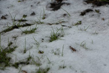 İngiltere 'de dondurucu ve çamurlu kış manzaraları 