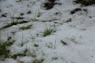 İngiltere 'de dondurucu ve çamurlu kış manzaraları 