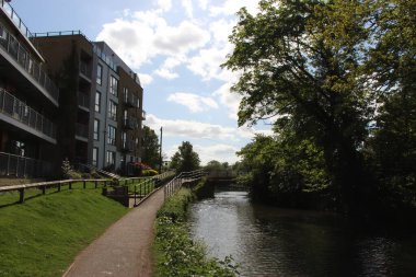 İlkbahar yürüyüşü, Londra sınırındaki Hertford 'un eteklerinde Lea nehri boyunca akan bitki örtüsünü ve faunayı görmek için.