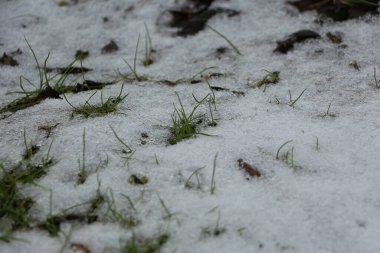 İngiltere 'de dondurucu ve çamurlu kış manzaraları 