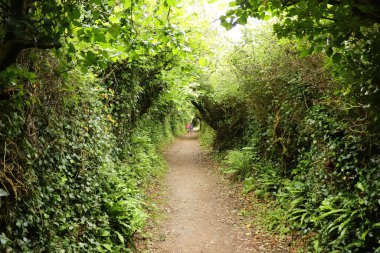 Güney Cornwall sahil şeridinde yaz güneşinin altında güneşlenerek