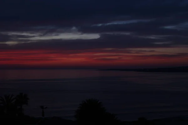 Palm Trees Beaches Seas South Cyprus Coast Sunset Red Orange — 图库照片