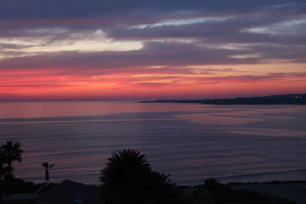 Palm Trees Beaches Seas South Cyprus Coast Sunset Red Orange — 스톡 사진