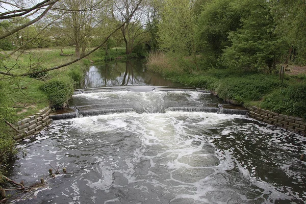 Springtime Walk See Flora Fauna River Lea Flowing Meads Nature — Zdjęcie stockowe