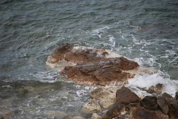 Climbing Rocks Swimming Crystal Waters Aphrodite Beach Cyprus — Stock Photo, Image