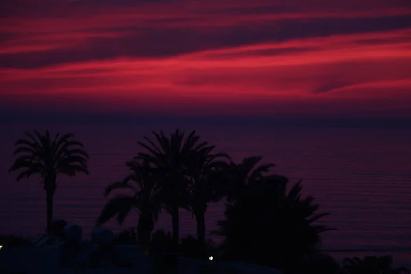 Playas Palmeras Mares Costa Sur Cyprus Como Puesta Sol Contra — Foto de Stock
