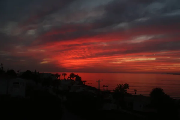 Palm Trees Beaches Seas South Cyprus Coast Sunset Red Orange —  Fotos de Stock