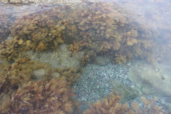 Kayaların üzerinden tırmanmak ve Cythe 'deki Afrodit sahilinin kristal sularında yüzmek.