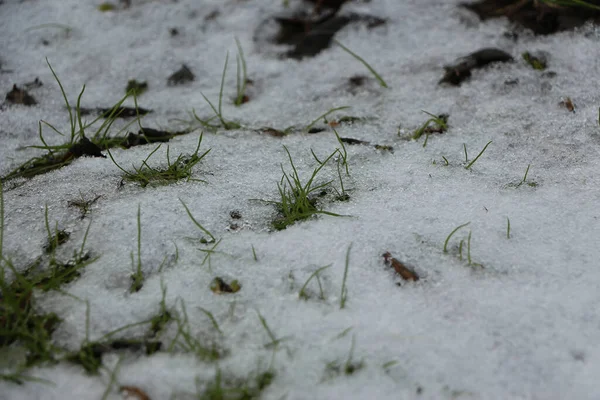 İngiltere 'de dondurucu ve çamurlu kış manzaraları 