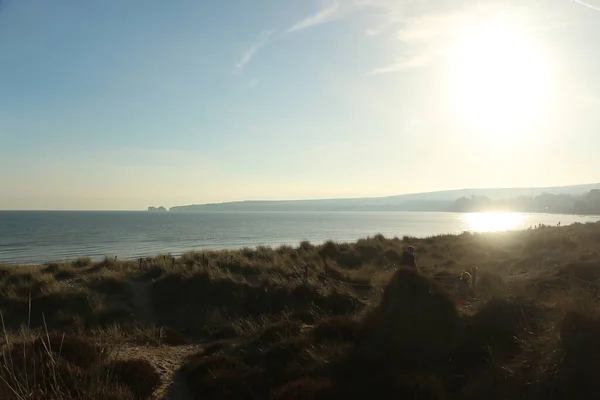 Exploring Studland Bay Views Bournemouth Isle Wight Beach Middle Winter — 스톡 사진