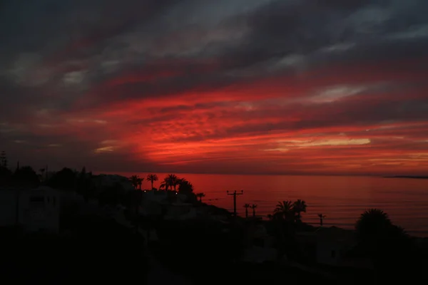 Palm Trees Beaches Seas South Cyprus Coast Sunset Red Orange — 图库照片