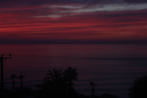 Playas Palmeras Mares Costa Sur Cyprus Como Puesta Sol Contra — Foto de Stock