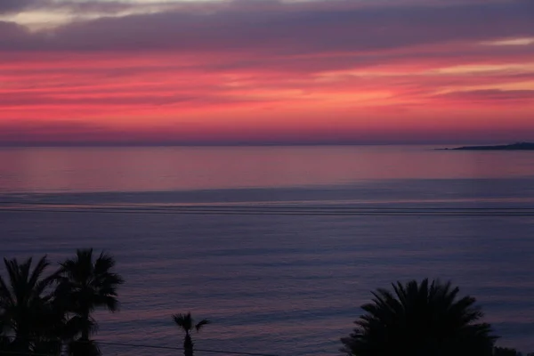 Palm Trees Beaches Seas South Cyprus Coast Sunset Red Orange — 스톡 사진