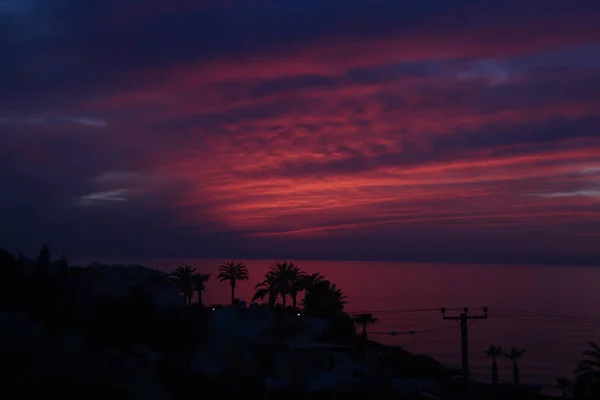 Palm Trees Beaches Seas South Cyprus Coast Sunset Red Orange — 스톡 사진