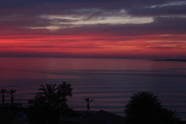Playas Palmeras Mares Costa Sur Cyprus Como Puesta Sol Contra — Foto de Stock