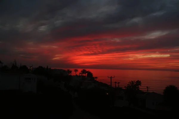 Playas Palmeras Mares Costa Sur Cyprus Como Puesta Sol Contra — Foto de Stock