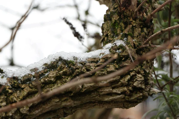 Freezing Muddy Winter Landscapes England — Φωτογραφία Αρχείου