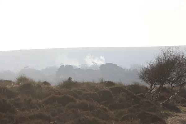 Exploring Studland Bay Views Bournemouth Isle Wight Beach Middle Winter — Zdjęcie stockowe