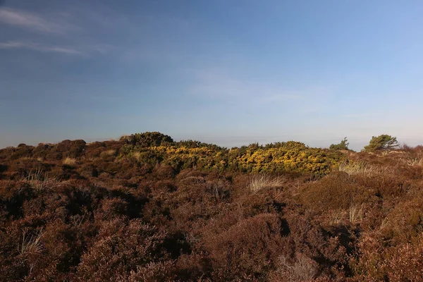 Bournemouth Wight Adası Manzaralı Studland Körfezi Kışın Ortasında Sahilden Keşfetmek — Stok fotoğraf