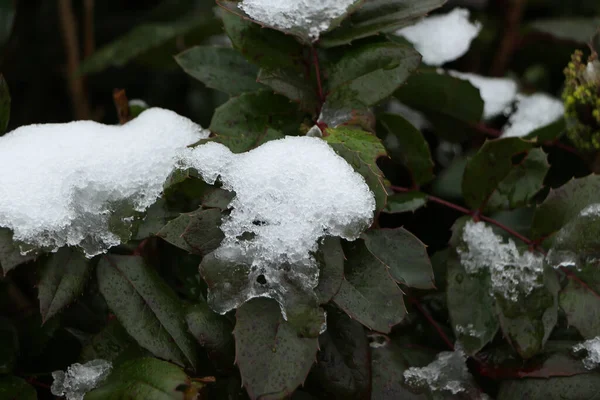 Congelamento Paisagens Enlameadas Inverno Inglaterra — Fotografia de Stock