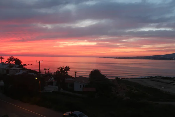 Palm Trees Beaches Seas South Cyprus Coast Sunset Red Orange — 스톡 사진