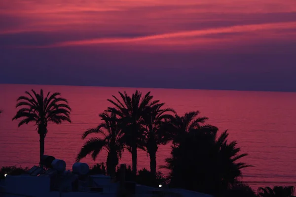 Palm Trees Beaches Seas South Cyprus Coast Sunset Red Orange — Stock Photo, Image