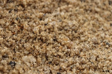 Güney Cornwall sahil şeridinde yaz güneşinin altında güneşlenerek