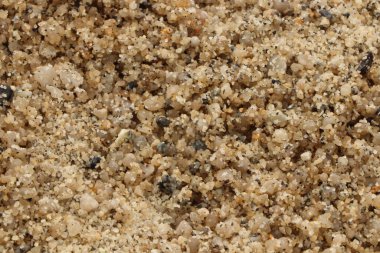 Güney Cornwall sahil şeridinde yaz güneşinin altında güneşlenerek