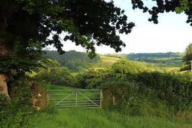 Kuzey Devon 'da yaz güneşinin altında güneşlenerek