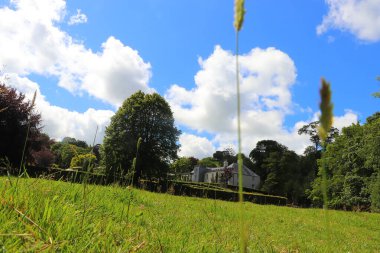 Güney Cornwall sahil şeridinde yaz güneşinin altında güneşlenerek