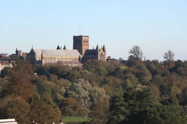 St Albans, Hertfordshire Birleşik Krallık 'ta bir parkta dolaşırken, tüm taşlaşmış ağaçları ve manzaraları görkemli ortaçağ katedrali.