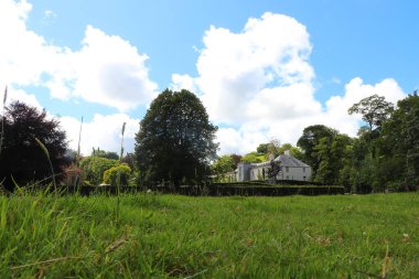 Güney Cornwall sahil şeridinde yaz güneşinin altında güneşlenerek