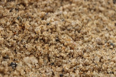 Güney Cornwall sahil şeridinde yaz güneşinin altında güneşlenerek