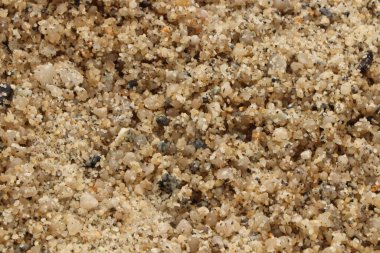 Güney Cornwall sahil şeridinde yaz güneşinin altında güneşlenerek