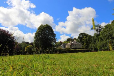Güney Cornwall sahil şeridinde yaz güneşinin altında güneşlenerek