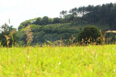 Güney Cornwall sahil şeridinde yaz güneşinin altında güneşlenerek